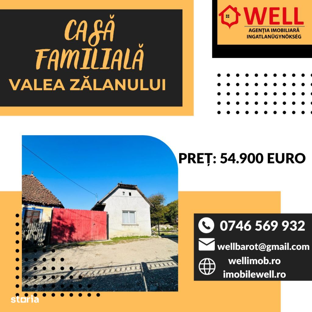 De vânzare casă familială în Valea Zălanului