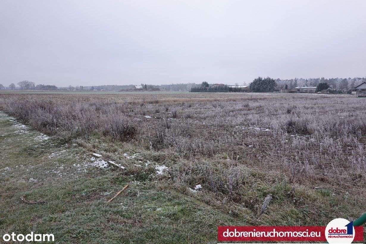 Atrakcyjna działka budowlana Toporzysko 1064 m2 - Pełny obrazek: 4/7