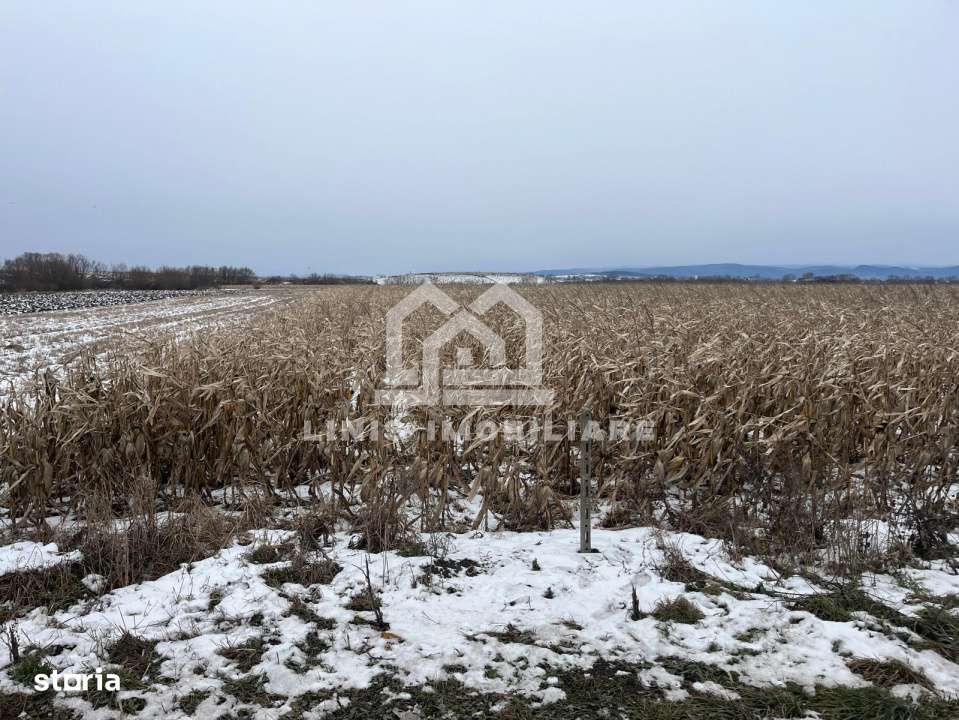 COMISION 0% Teren 4400mp str. Austriei-1