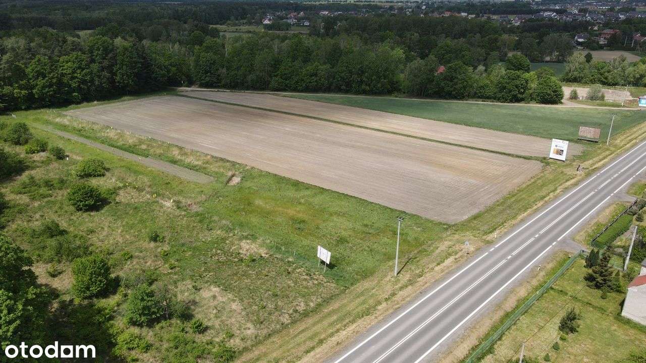 Działka usługowa przy drodze Rybnik-Gliwice - Pełny obrazek: 4/4