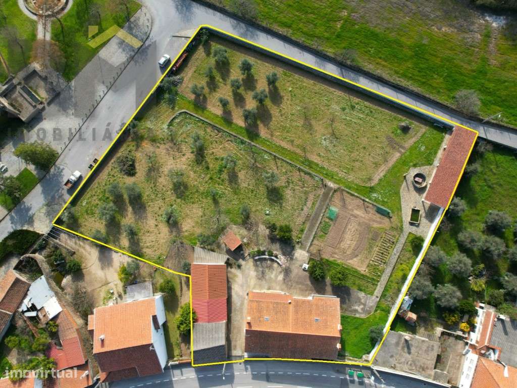 Moradia T4 com 5000m2 de terreno - Escalos de Baixo (Castelo Branco)-33