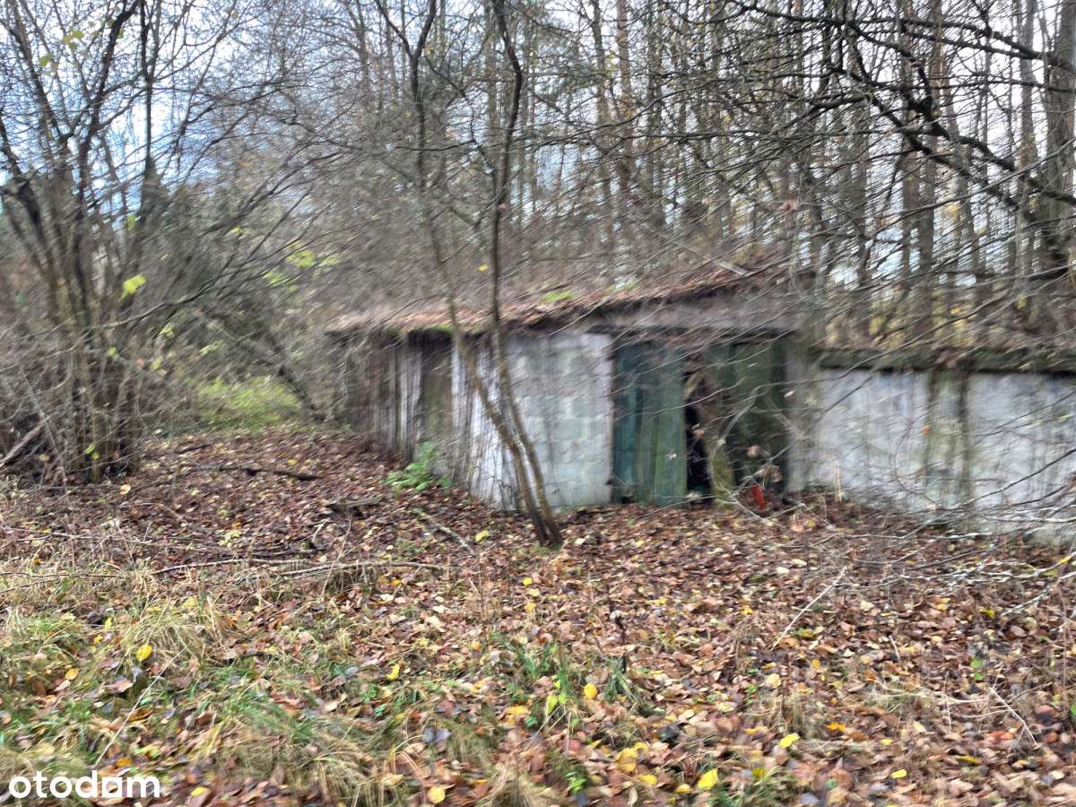 Dom z lat 70 z garażem | 5500 mkw działki-8