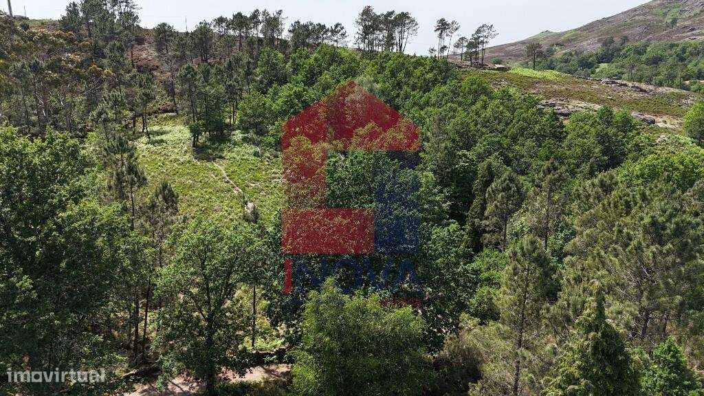 Terreno para projeto Turístico, Gerês-23