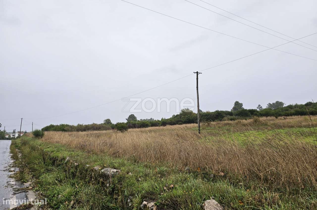 Terreno, 14 150 m², Vila Chã - Grande imagem: 4/15
