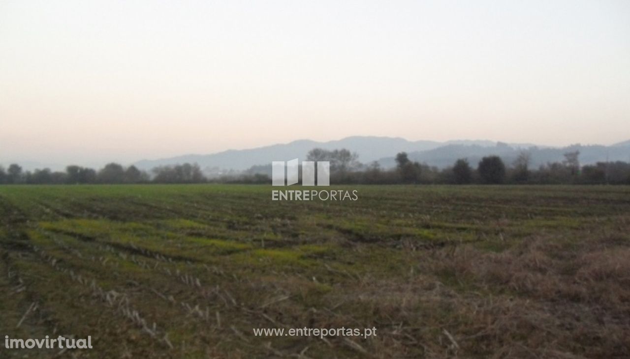 Terreno Agrícola - Lanheses