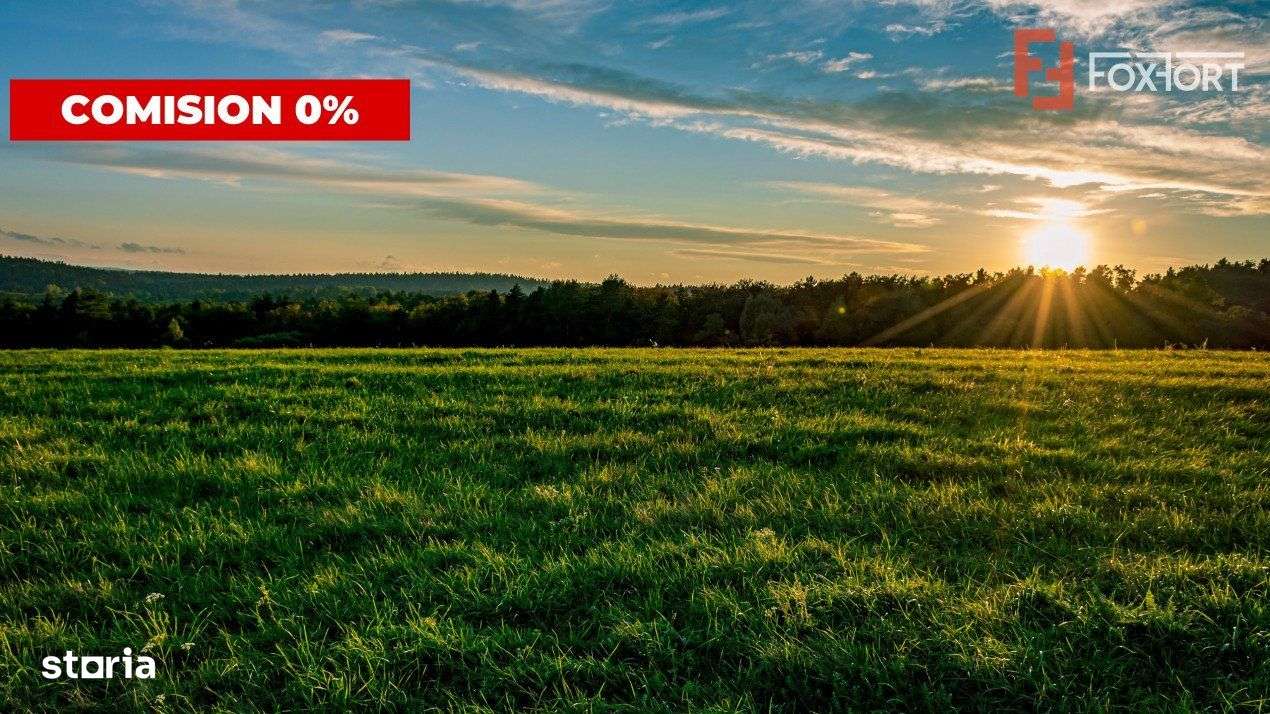 COMISION 0%-Teren de vanzare in Sacalaz - Pretabil constructii, front - Imagine principală: 3/4