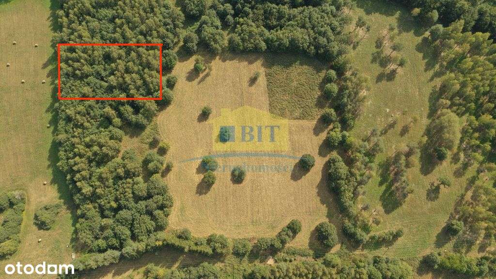 Działka 3087m2 nad jeziorem Komorze - Pełny obrazek: 5/14