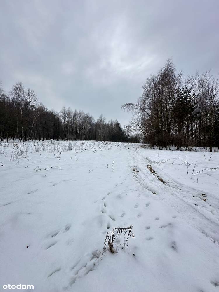 Duża działka pod lasem - Łazany blisko Wieliczki i Gdowa-5