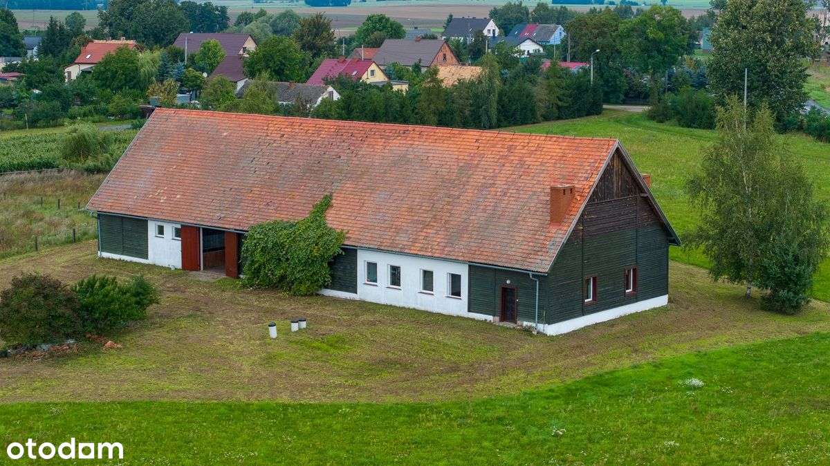 Duża działka +budynek - Stadnina Koni - Pełny obrazek: 4/20