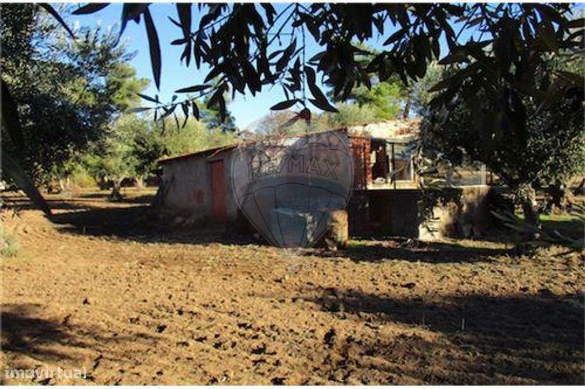 Quinta T0 para venda - Grande imagem: 4/38