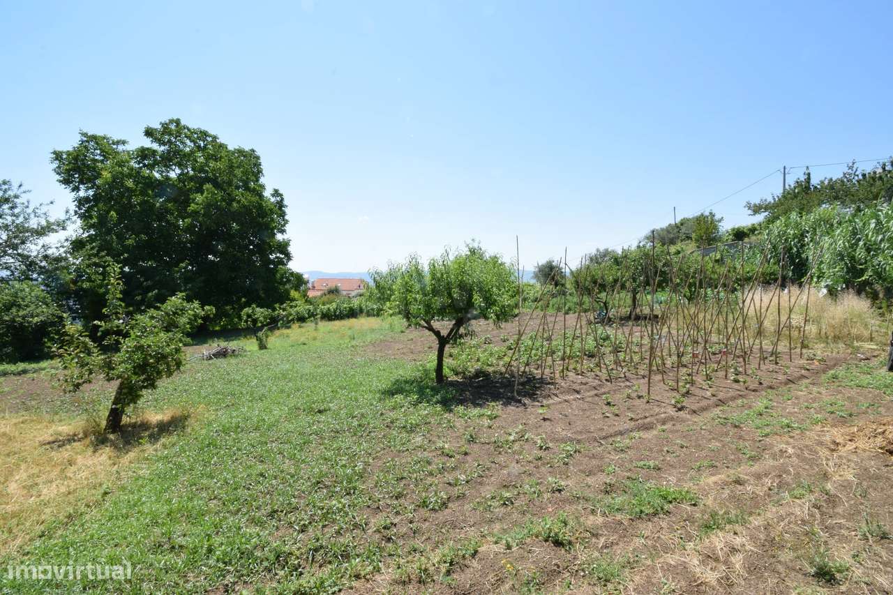 Terreno com 4.522 m² e Viabilidade de Construção - Vila do Carvalho-31
