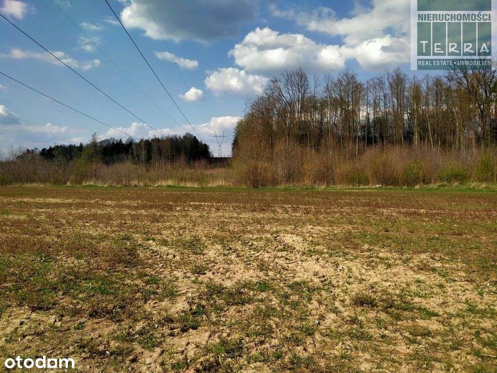 Grunty Rolne - Pełny obrazek: 5/8