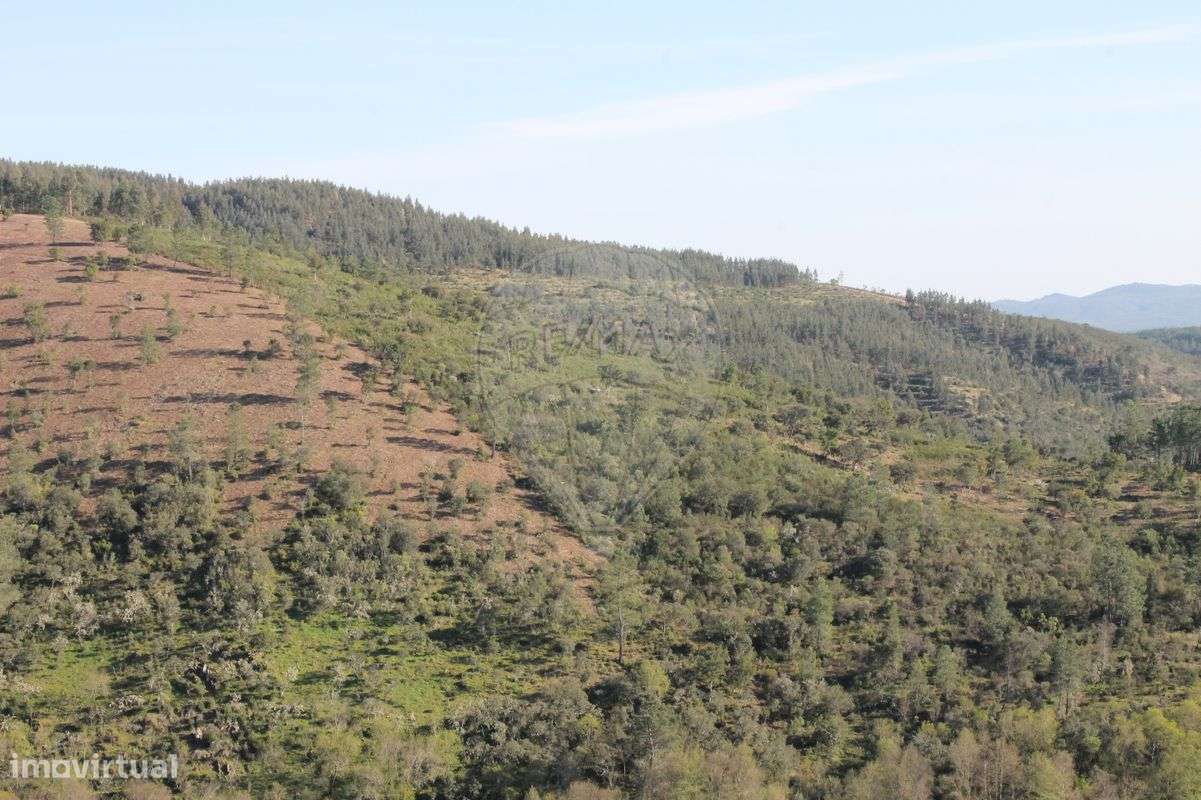 Terreno  para venda - Grande imagem: 5/6