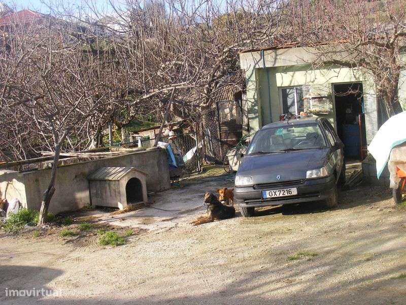 Vendo moradia , propriedade privada com vedação total - Grande imagem: 5/12