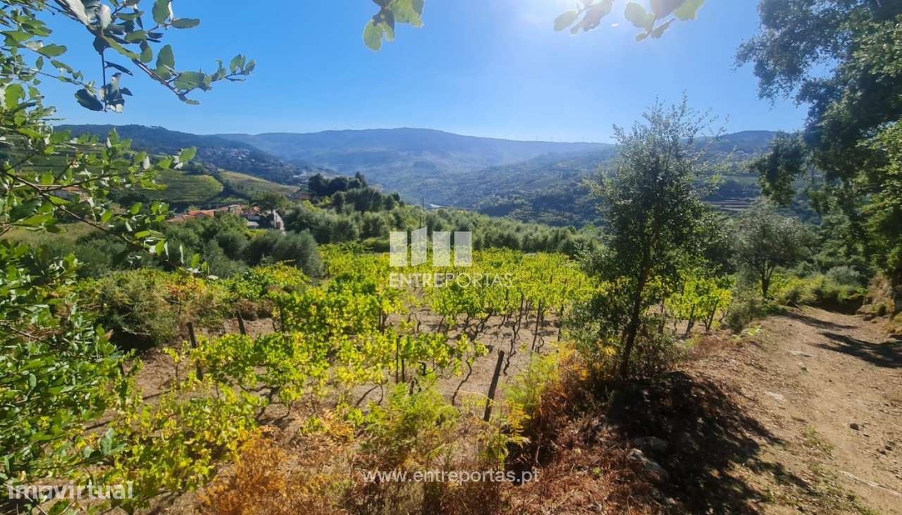 Venda de Terreno, Stª Marinha do Zêzere Baião - Grande imagem: 4/5