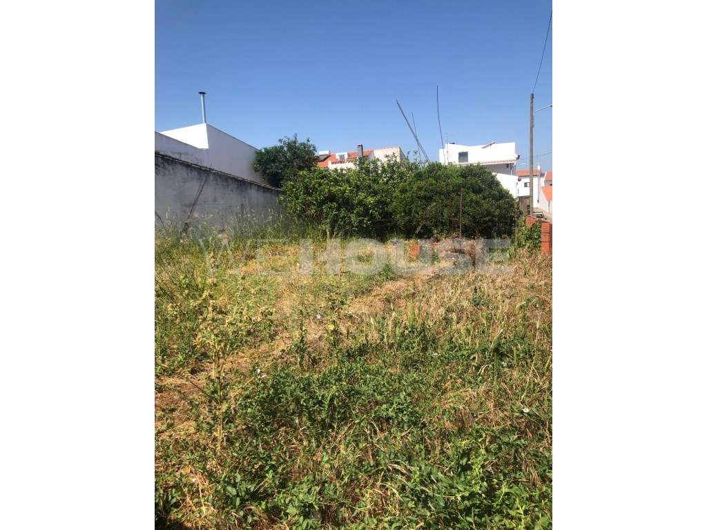 Terreno para Construção na Vila da Vidigueira - Oportunidade Única!-8