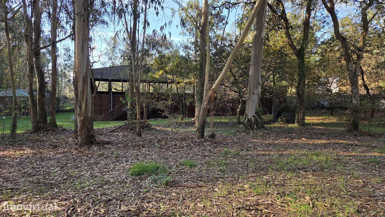 Quinta Equestre & Boutique Retreat-42