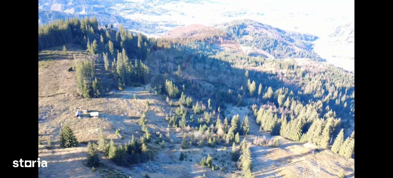 Teren 31,461mp Panaci / Prelungirea Ialovita-4