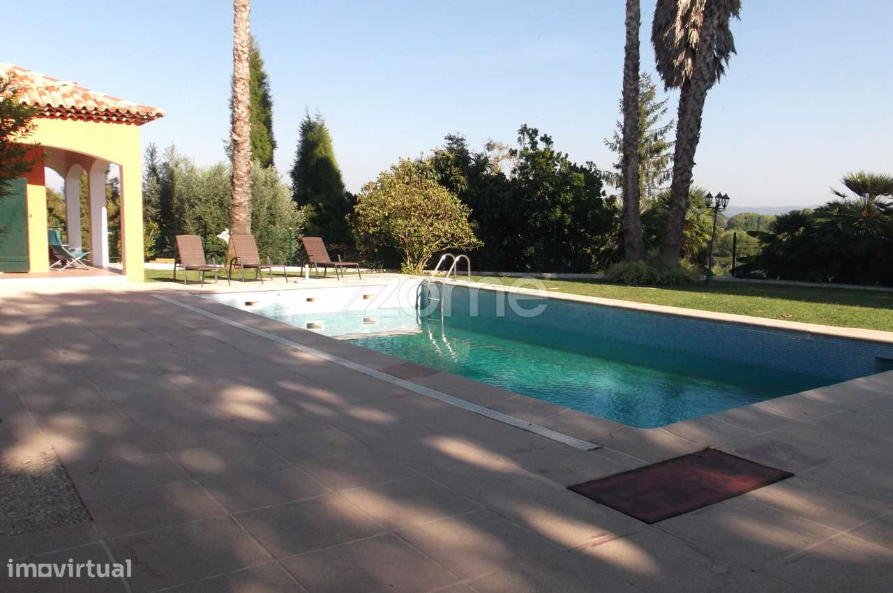 Quinta em Sangalhos - Grande imagem: 2/38