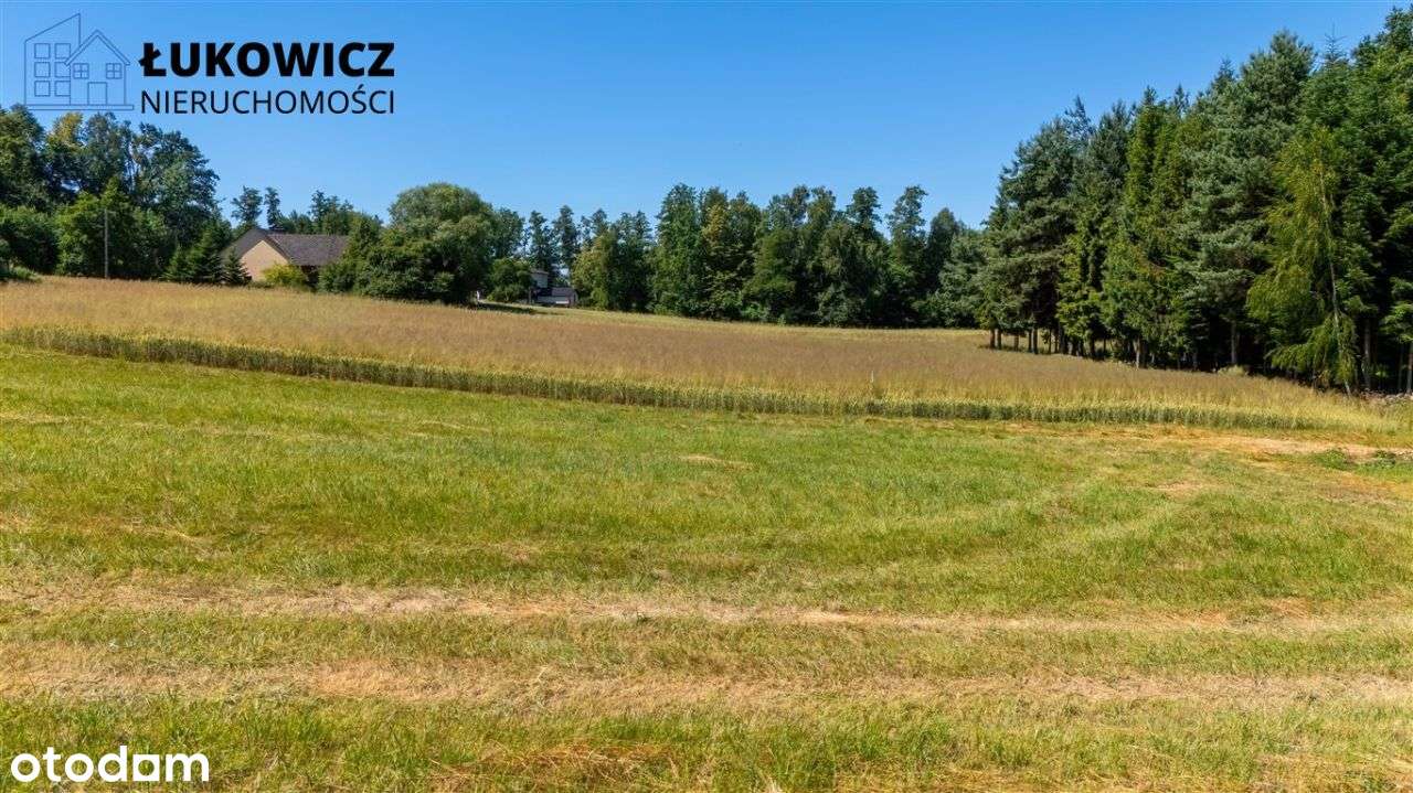 Działka 3057 m² w sąsiedztwie lasu! Dankowice - Pełny obrazek: 5/20
