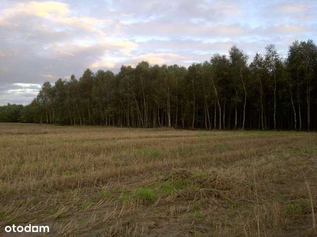 Działka rolna w cichej okolicy - 1,56 ha - Pełny obrazek: 4/11
