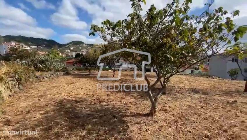 Terreno com  1910 m2 - Caniço - Grande imagem: 4/8