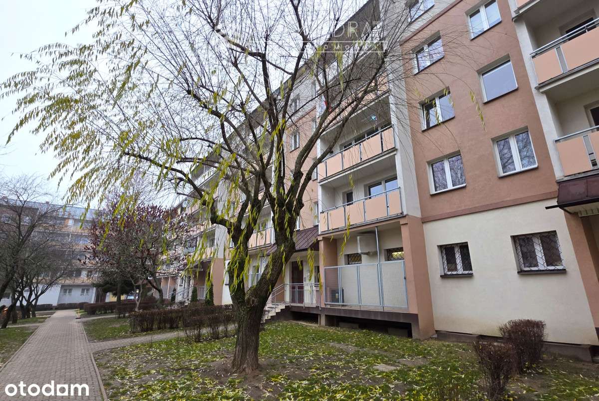 Starobojarska 72 m2, 4 pokoje, 1 piętro, parking-12