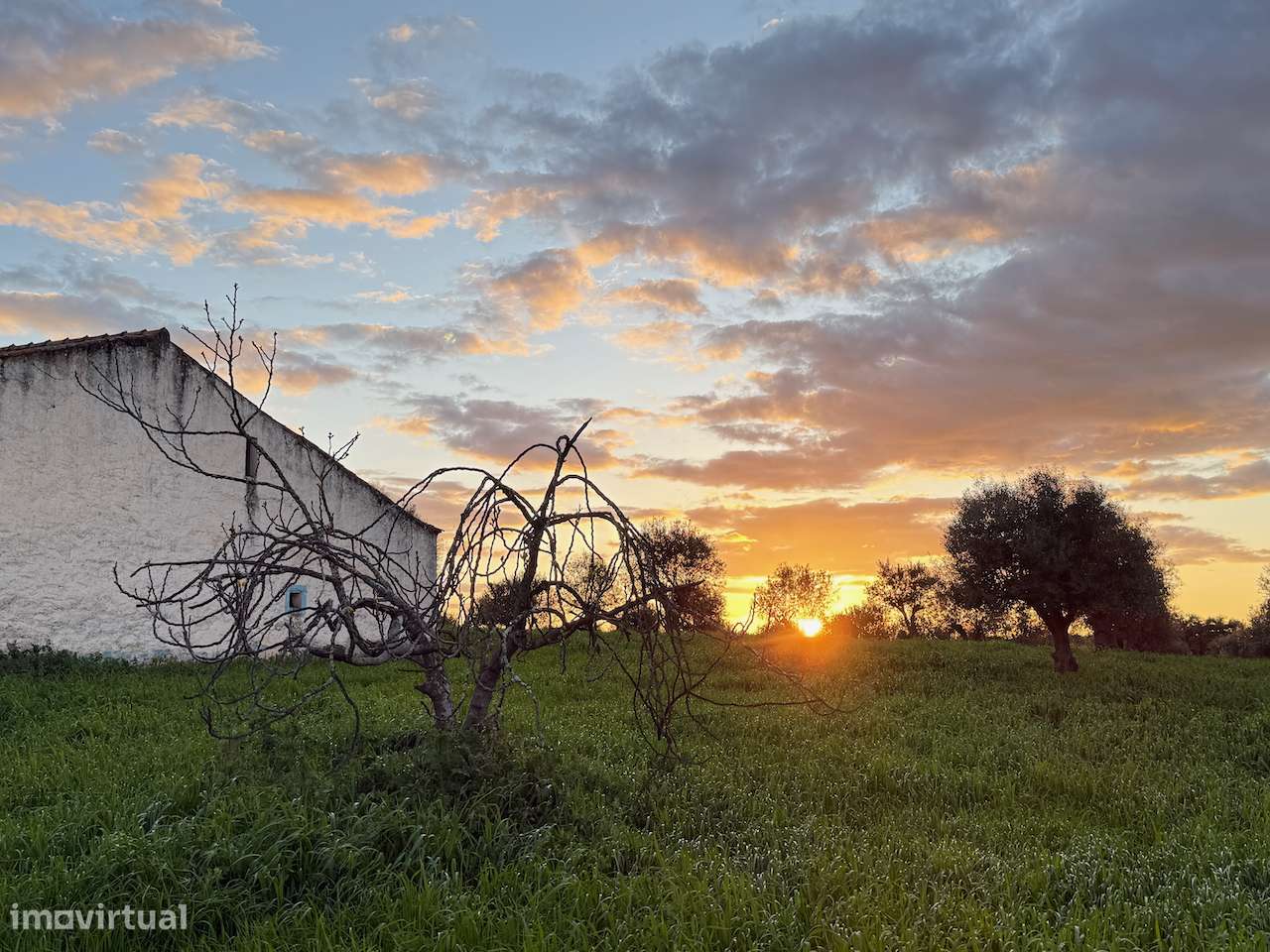 MONTE ALENTEJANO NO ALANDROAL, ÉVORA-30