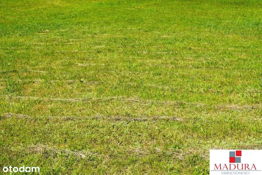 Wielgowo- Działka z pozwoleniem na budowę domu - Pełny obrazek: 5/5