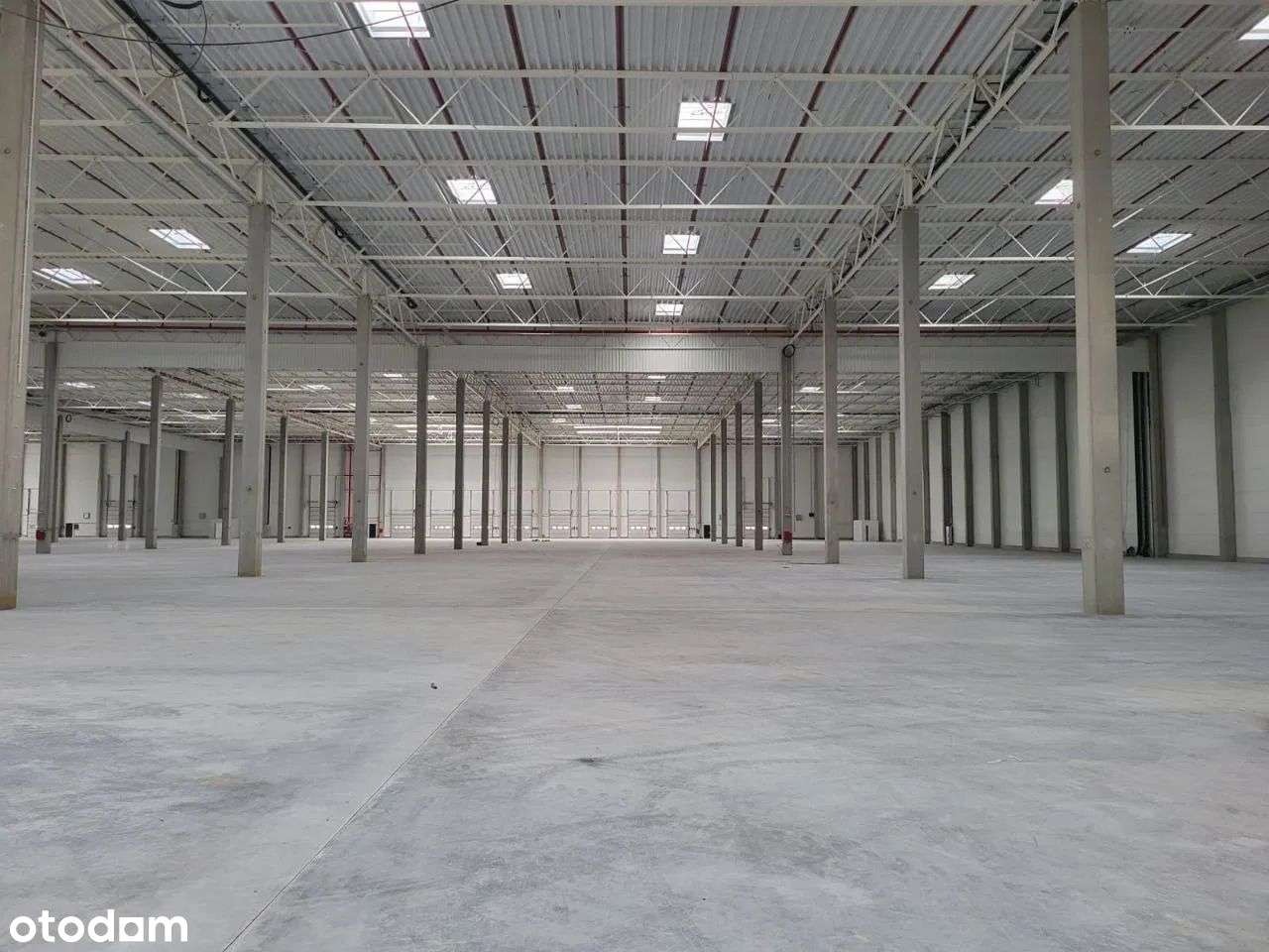 Magazyn centrum logistyczne Kępno - Pełny obrazek: 4/8