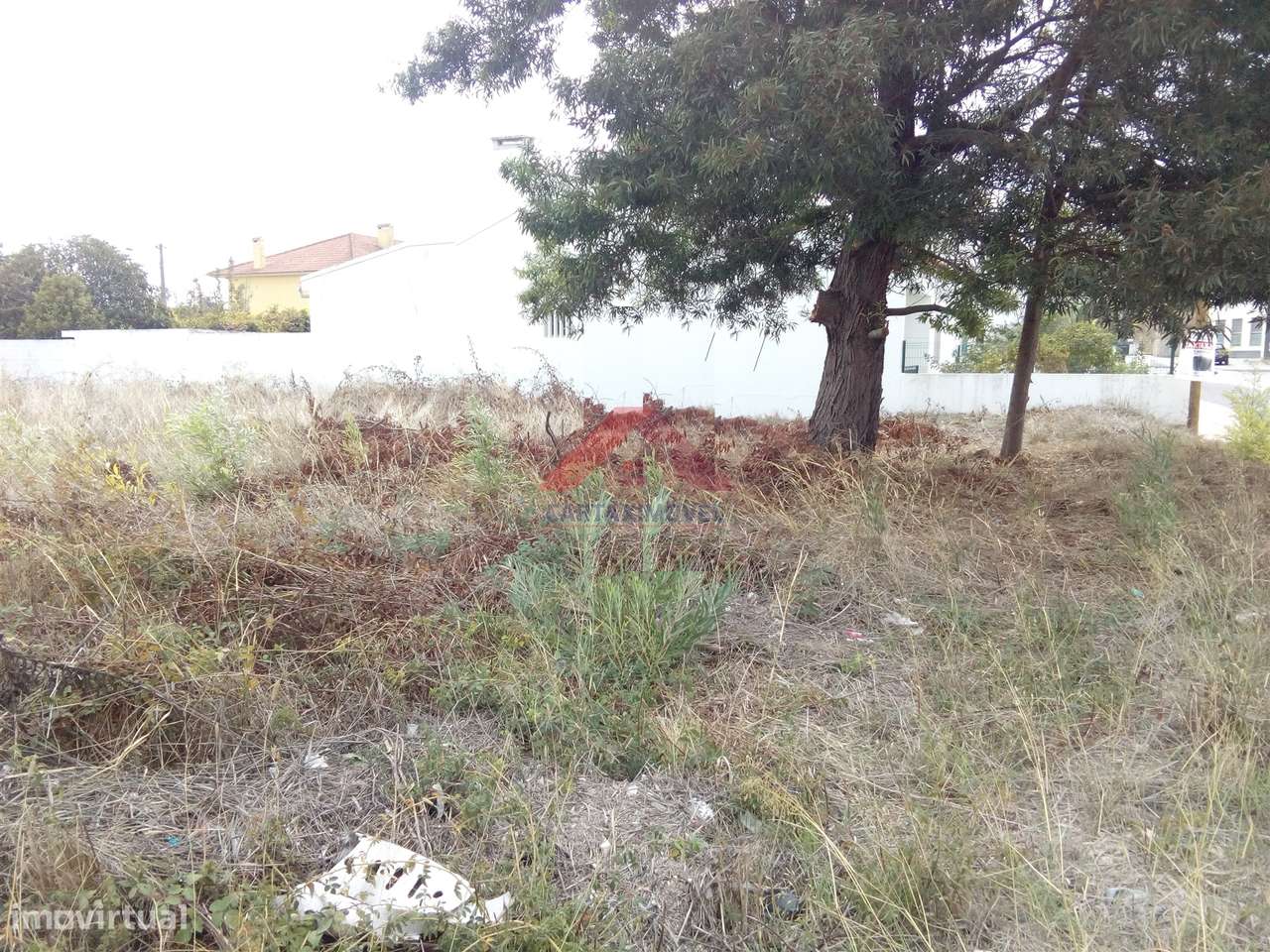 Terreno Para Construção  Venda em Cartaxo e Vale da Pinta,Cartaxo - Grande imagem: 5/5