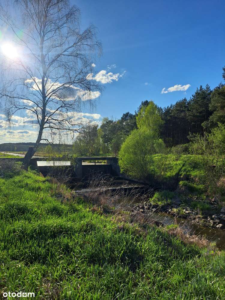 Dom jednorodzinny w spokojnej lokalizacji obok lasu - Pełny obrazek: 4/16