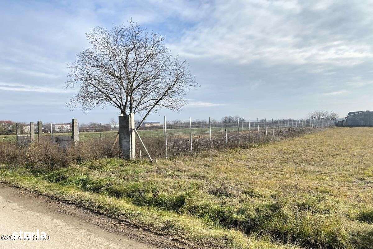 Afumati - Str. Iasomiei, 2409 MP, stradal, intravilan, deschidere 12 m - Imagine principală: 5/19