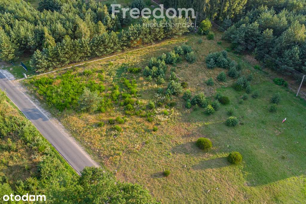 Grzegorzewice-Żabia Wola-piękna działka budowlana - Pełny obrazek: 5/20