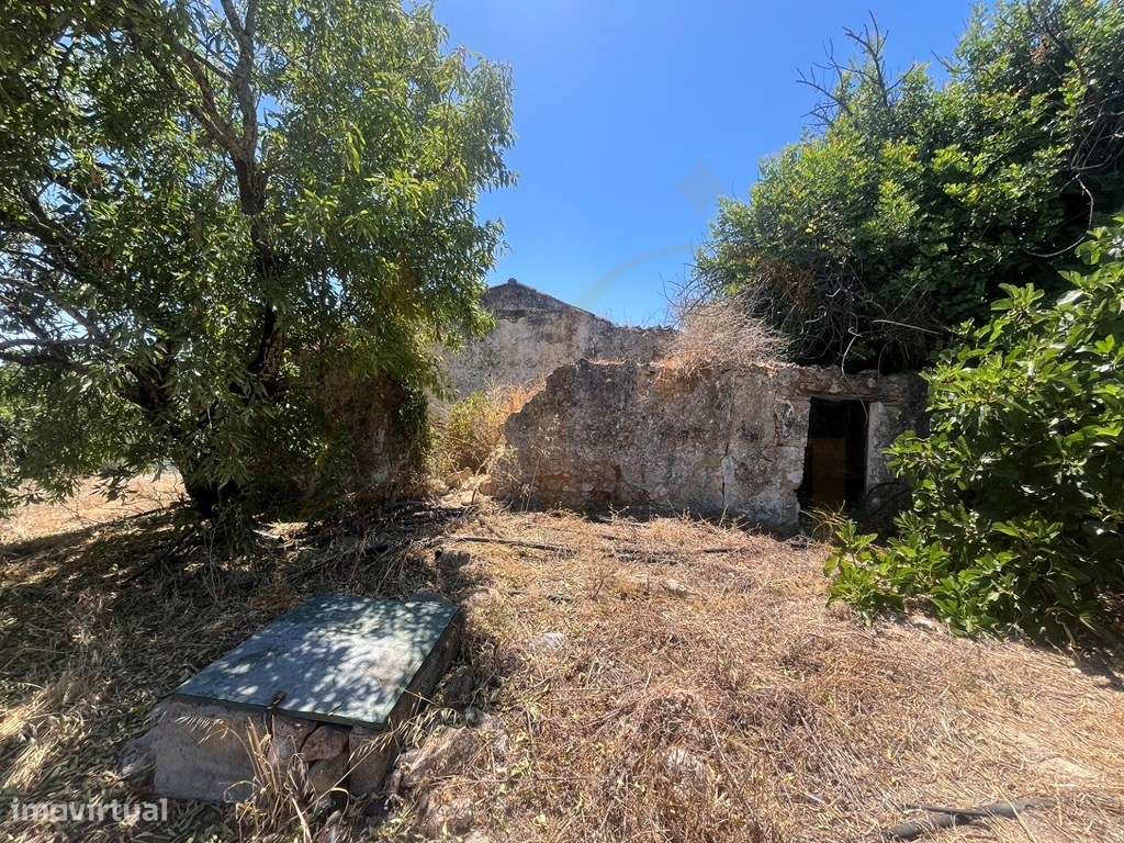 Quinta com duas casas, vistas para o mar e 11.940 m² de terreno em ...-43