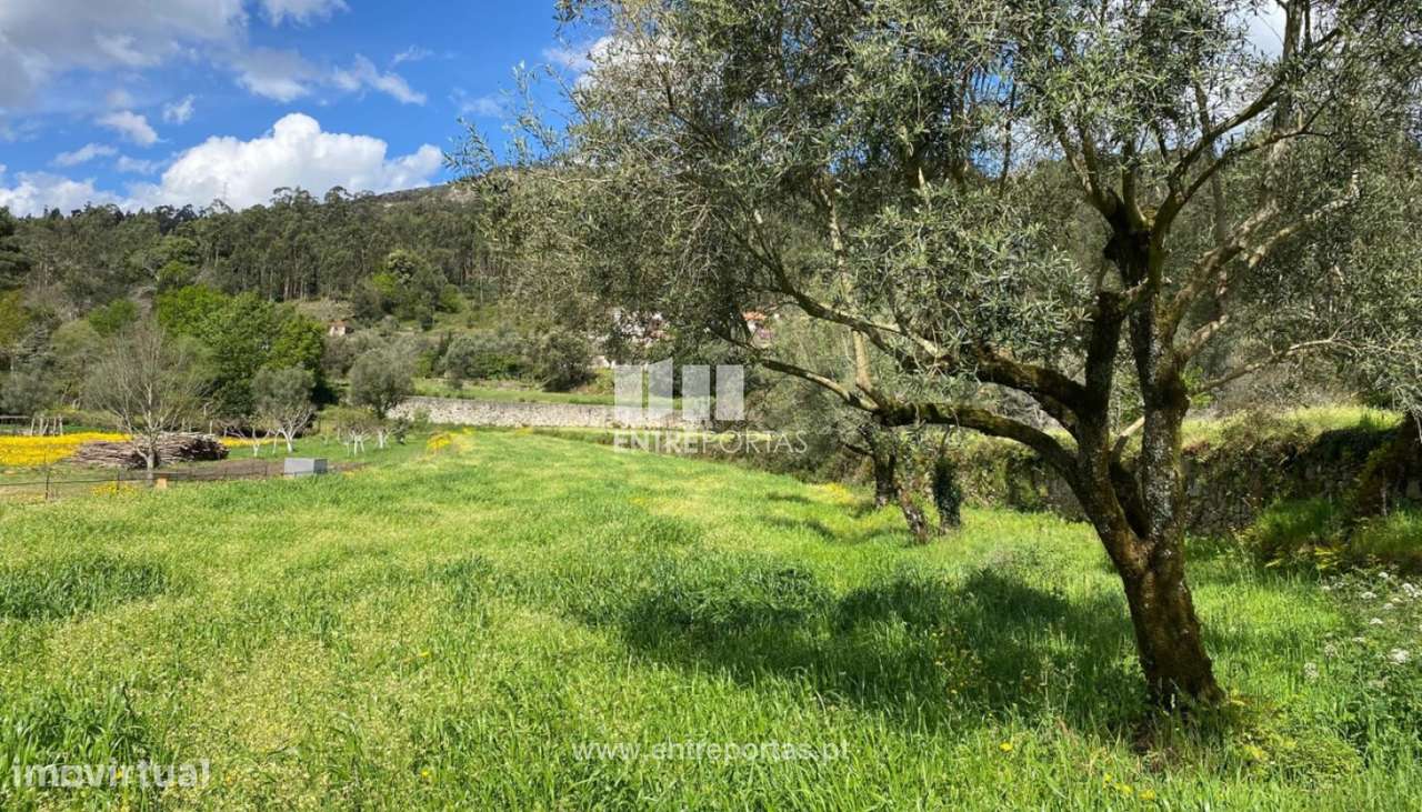 Venda de Terreno com 2.305 m², Carvoeiro, Viana do Castelo - Grande imagem: 2/27