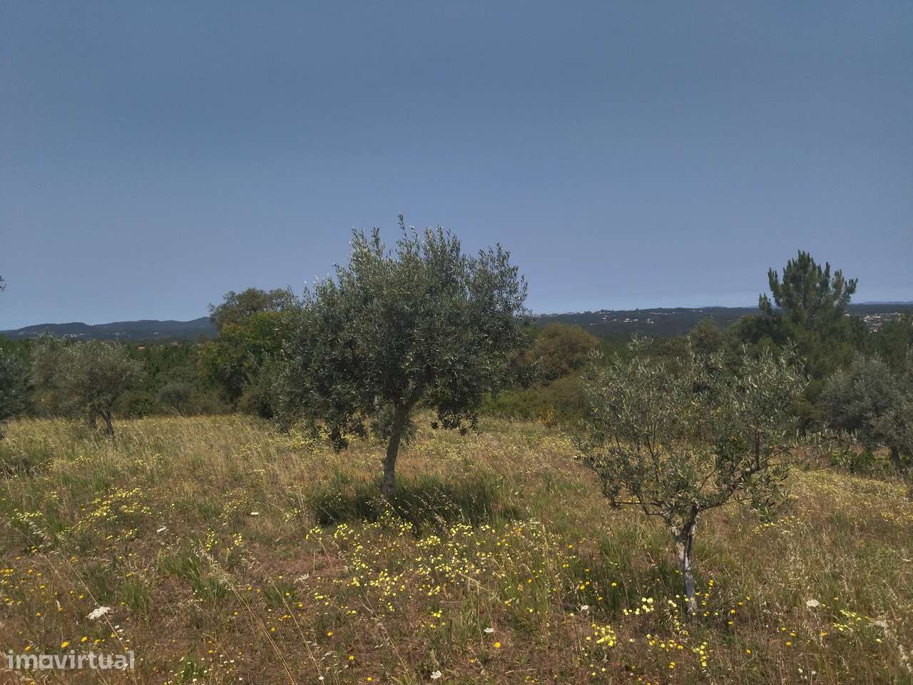 Terreno urbanizável de 4200m2, permite construção de moradia de 210m2-14