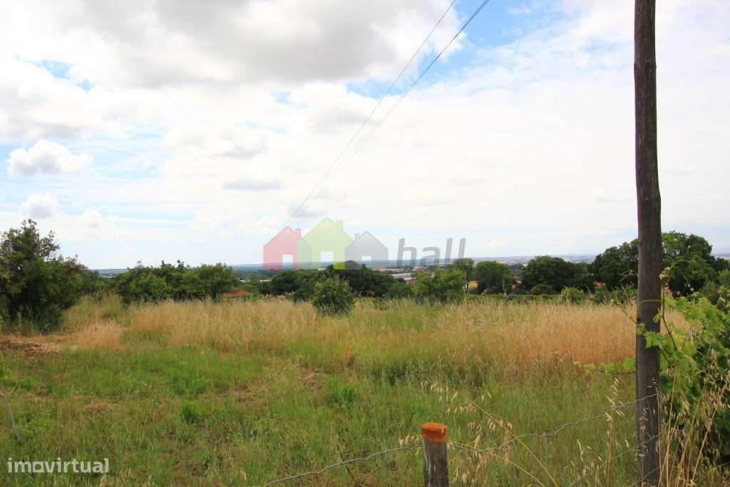 Venda Terreno rústico em Vendas de Azeitão - Grande imagem: 5/18