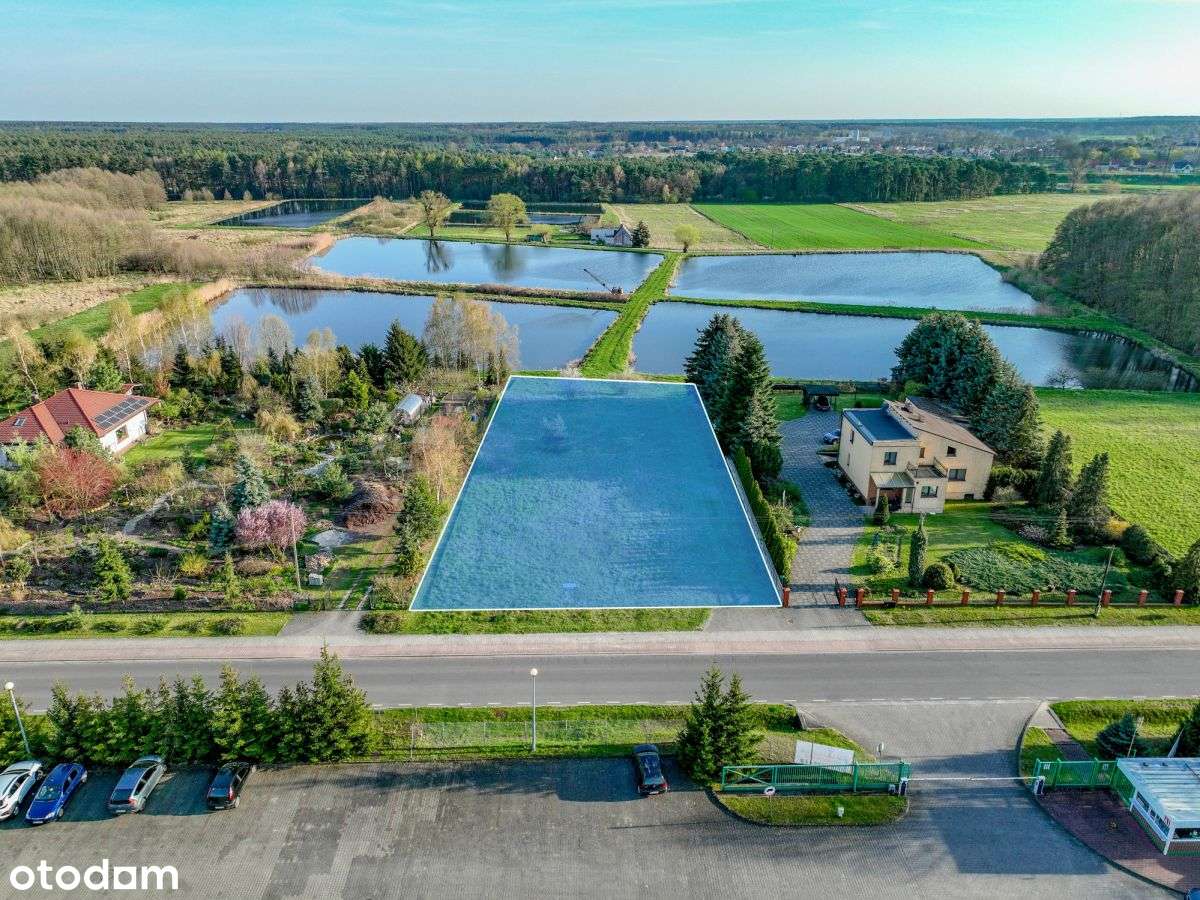 Nietuzinkowa działka w bliskości Puszczy Noteckiej-0