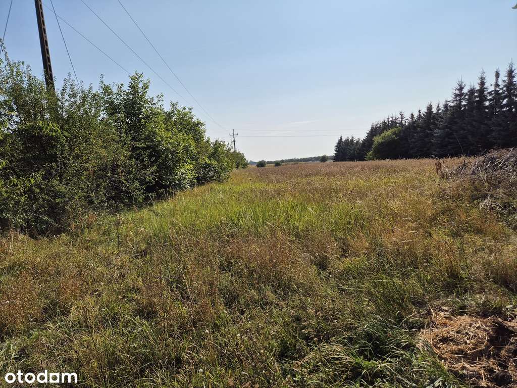 zabudowa jednorodzinna, bliźniaki lub usługi !! - Pełny obrazek: 4/5