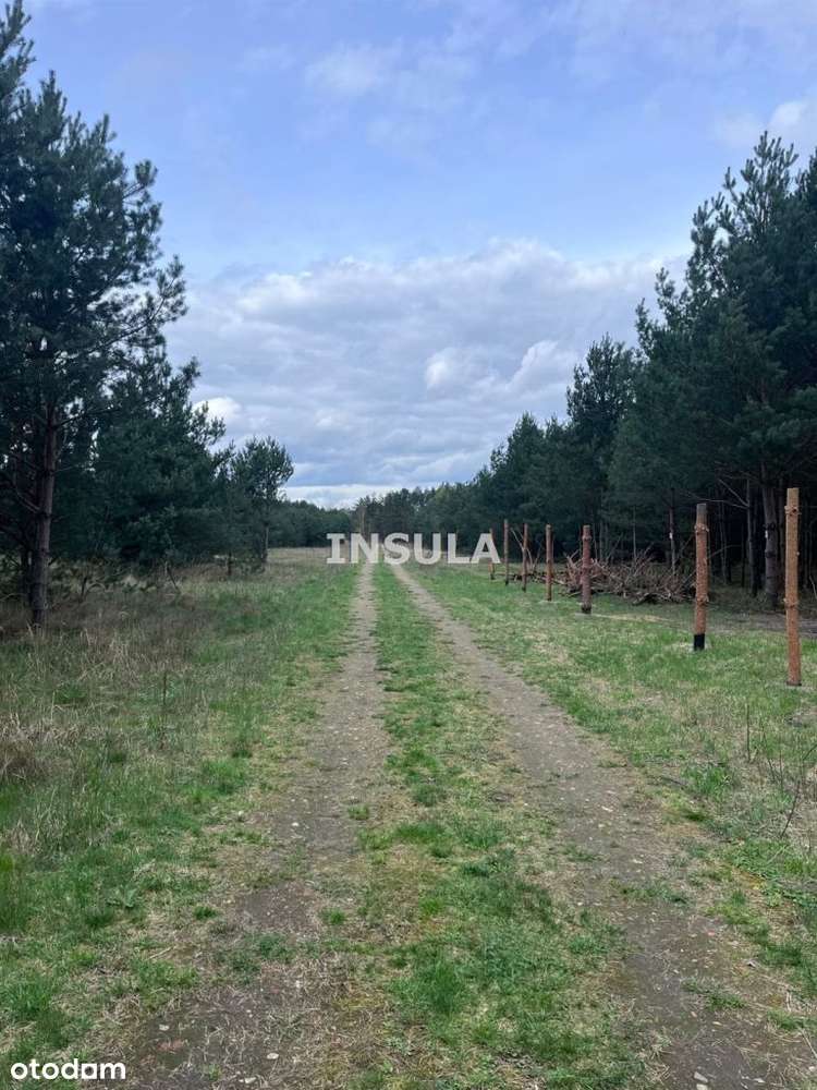 Działka w pobliżu lasów - Czeszów-4