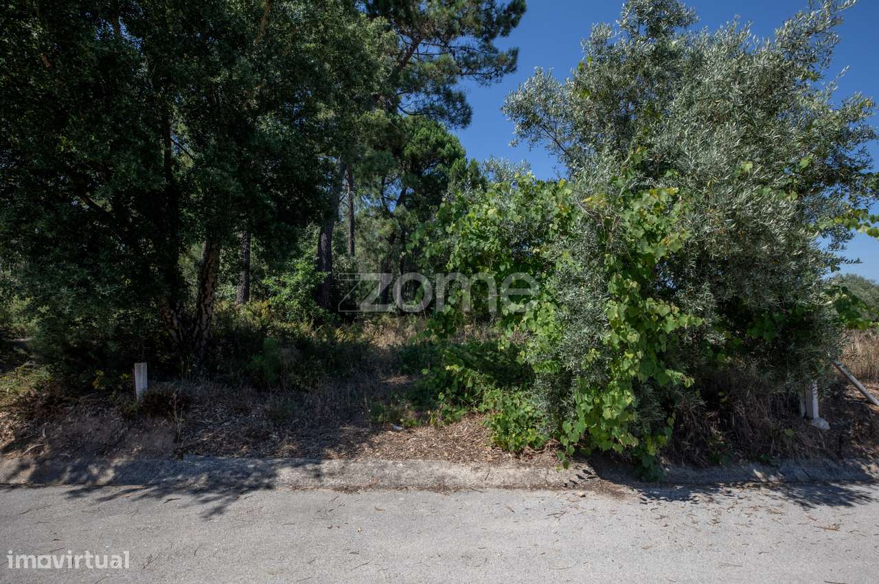 Terreno Rústico São Facundo - Coimbra - Grande imagem: 2/19
