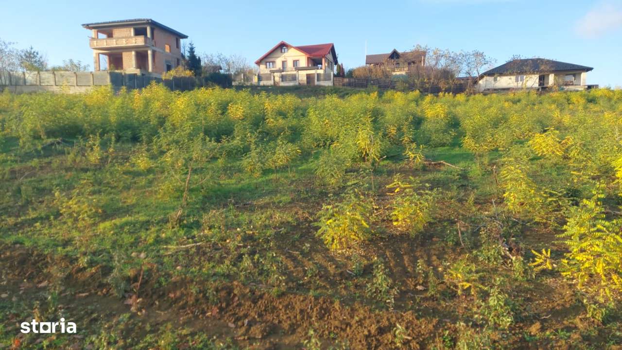 Barnova - teren de casa intravilan, 725 mp utili, peisaj frumos-10