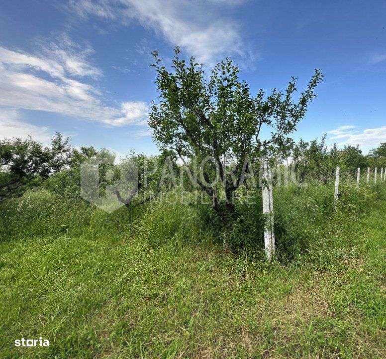 Teren 1250MP, Ardud-Vii - Imagine principală: 2/4