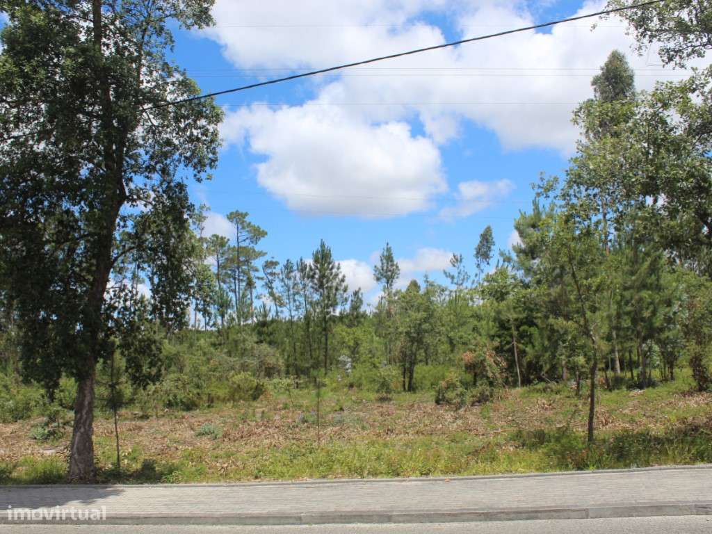 Terreno c/ 6970m2 - Grande imagem: 1/4