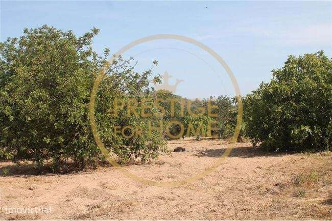 Terreno com viaabilidade de comstrução  e 3930m2 perto de Albufeira - Grande imagem: 3/16