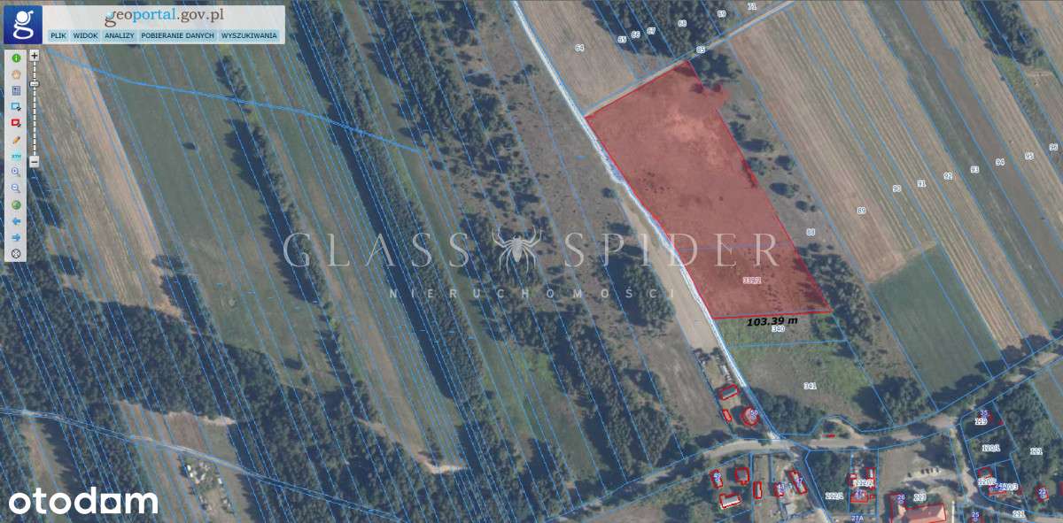 ⚡Działki o powierzchni 21887 mkw.⚡MPZP - 42r)⚡ - Pełny obrazek: 4/19