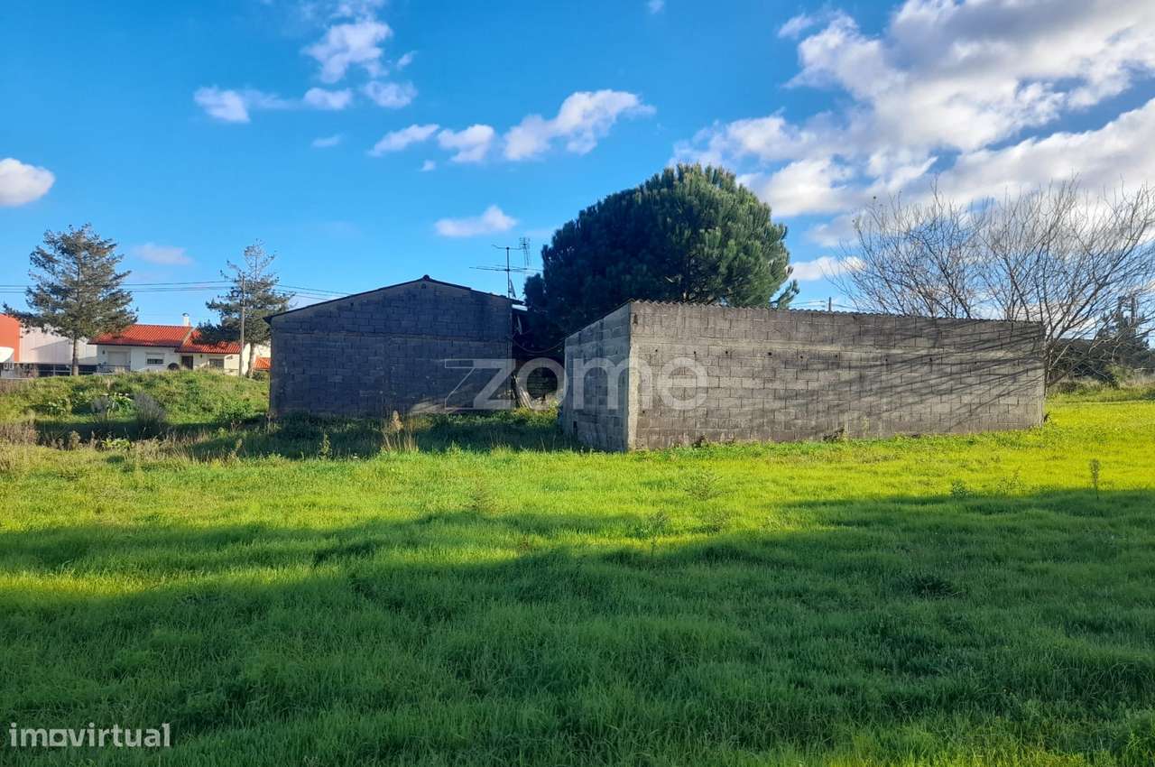 Armazém com terreno para construção junto ao IC2 - Grande imagem: 4/19