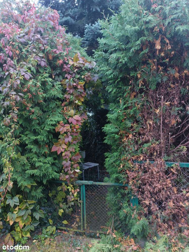 Plewiska wyposażone, zadbane 66m2 z garażem, ogródkiem, pom. gosp. Ip.-14