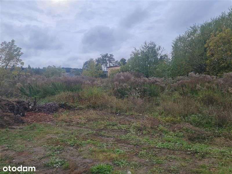 Działka - Nowe Miasto Lubawskie-3